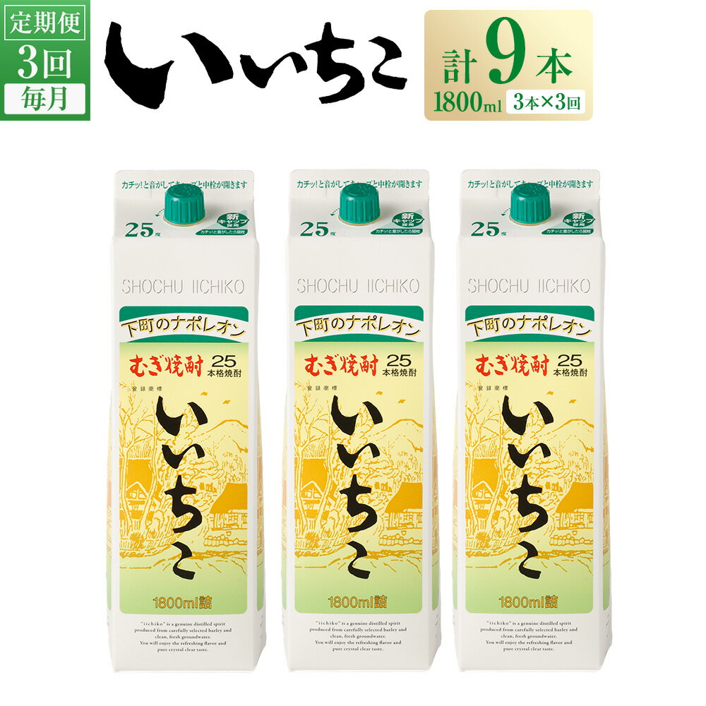 【ふるさと納税】＜定期便・全3回(連続)＞いいちこ 25度 パック(総量16.2L・計5.4L×3回)酒 お酒 むぎ焼酎 1800ml 麦焼酎 いいちこ 常温 三和酒類 紙パック【206100100】【酒のひろた】