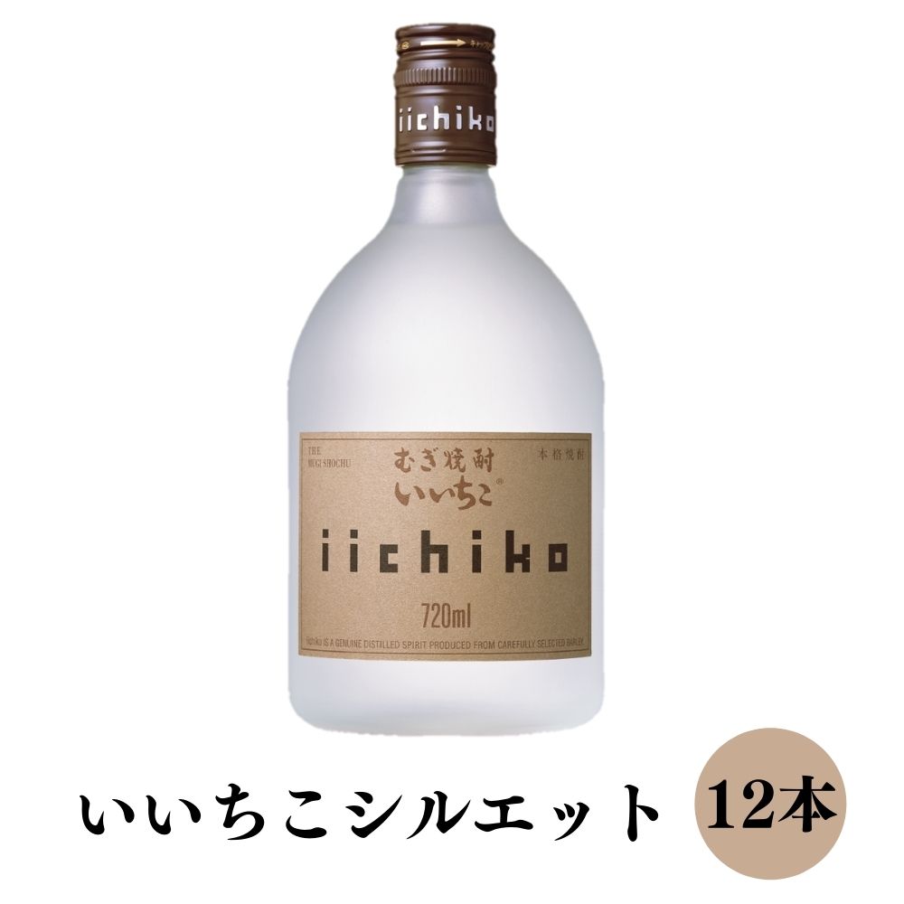 【ふるさと納税】麦焼酎いいちこ シルエット 25度 箱入 720ml 12本セット 送料無料