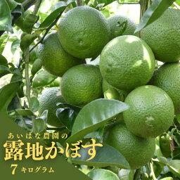 【ふるさと納税】露地カボス(約7kg)かぼす カボス 柑橘 特産品 大分県産【107100600】【あいはな農園】