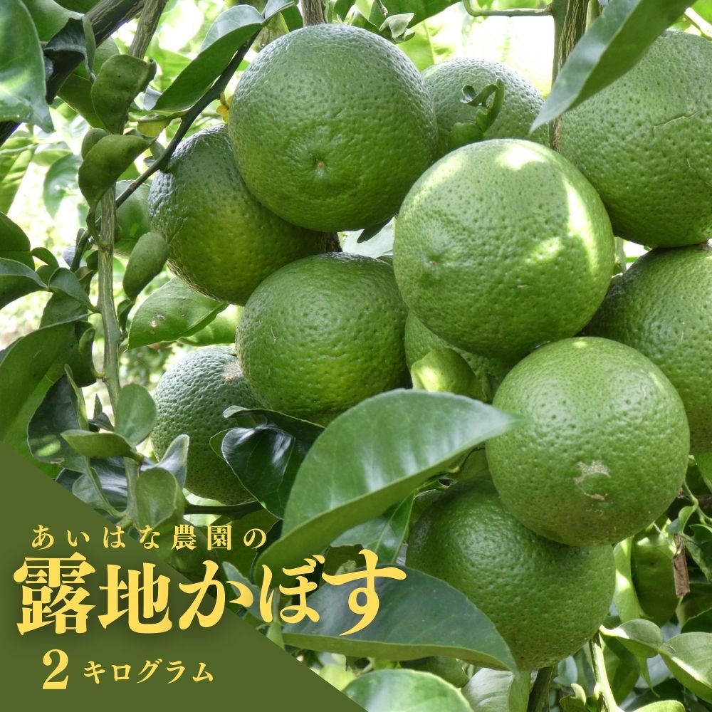 42位! 口コミ数「1件」評価「4」露地カボス(約2kg)かぼす カボス 柑橘 特産品 大分県産【107100100】【あいはな農園】