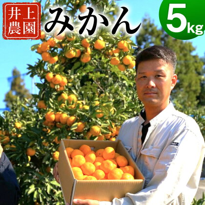 産地直送！宇佐産みかん 5kg （M・L） 温州 ミカン 蜜柑 果物 フルーツ 期間限定 予約 送料無料