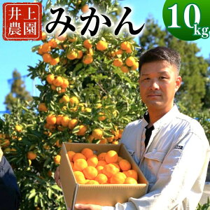 【ふるさと納税】産地直送！ 宇佐産みかん 10kg MLサイズ Mサイズ Lサイズ 温州みかん ミカン 蜜柑 果物 フルーツ 期間限定 予約 大分県産 宇佐市産 送料無料