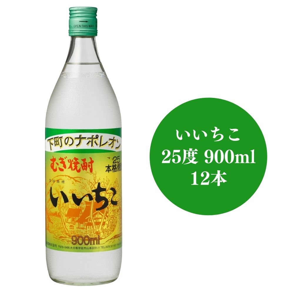 【ふるさと納税】【104304500】いいちこ ビン 25度 900ml 12本セット【山添産業】