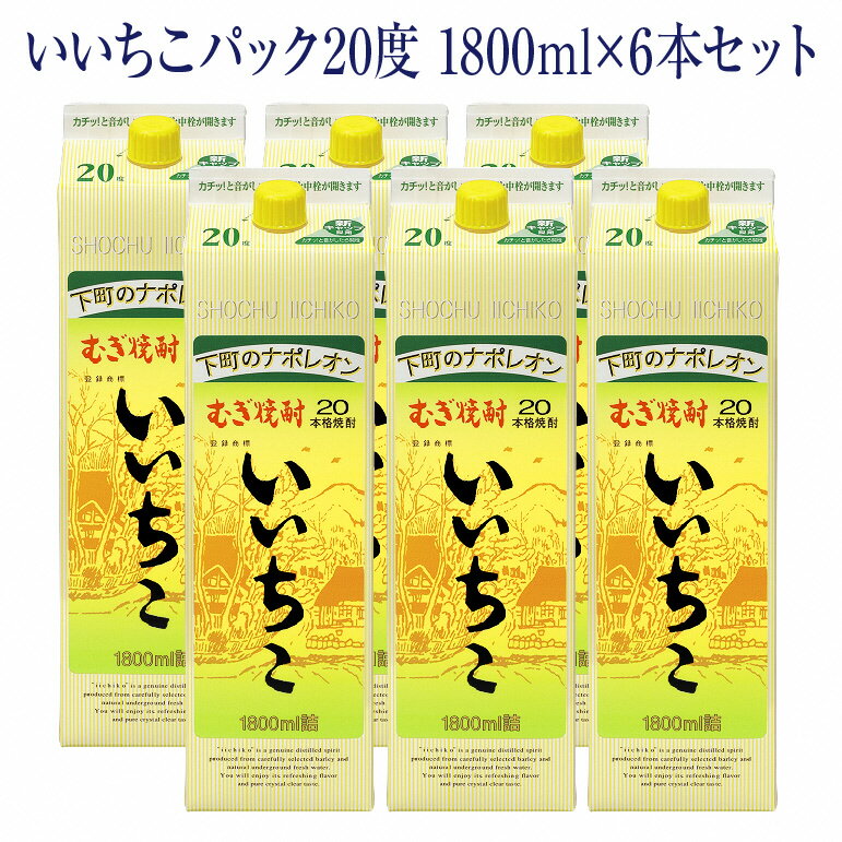 【ふるさと納税】いいちこ パック 20度 1800ml 6本 送料無料