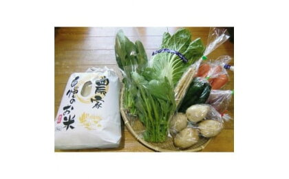 産地直送！安心院のお米と季節の野菜詰合せ(2品)米 お米 野菜 季節の野菜 詰合せ 安心院産 大分県産【103700100】【小の岩の庄】