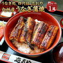 【ふるさと納税】九州産 うなぎ蒲焼 1本 1尾 約140～160g タレ付き 甘辛タレ 竹セット うなぎ処 四代目 志おや 国産 九州 うなぎ 鰻 ウナギ 惣菜 冷凍 送料無料【B568】