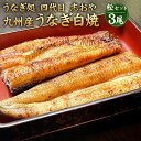 【ふるさと納税】九州産 うなぎ白焼 3本 3尾 約170-200g 松セット うなぎ処 四代目 志おや 国産 九州 白焼き 鰻塩 うなぎ 鰻 ウナギ 惣菜 冷凍 送料無料【E88】