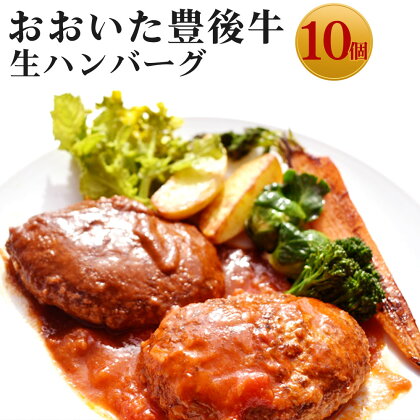 おおいた豊後牛生ハンバーグ(計1.6kg・160g×10個)牛肉 お肉 焼くだけ 簡単調理 手作り おかず【110200300】【吉野】