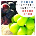 【ふるさと納税】シャインマスカット&スイーツ食べ放題 大人1名様分(体験型) マスカット 巨峰 果実 果物 くだもの フルーツ スイーツ アイス パフェ 食べ放題 時間無制限 送料無料