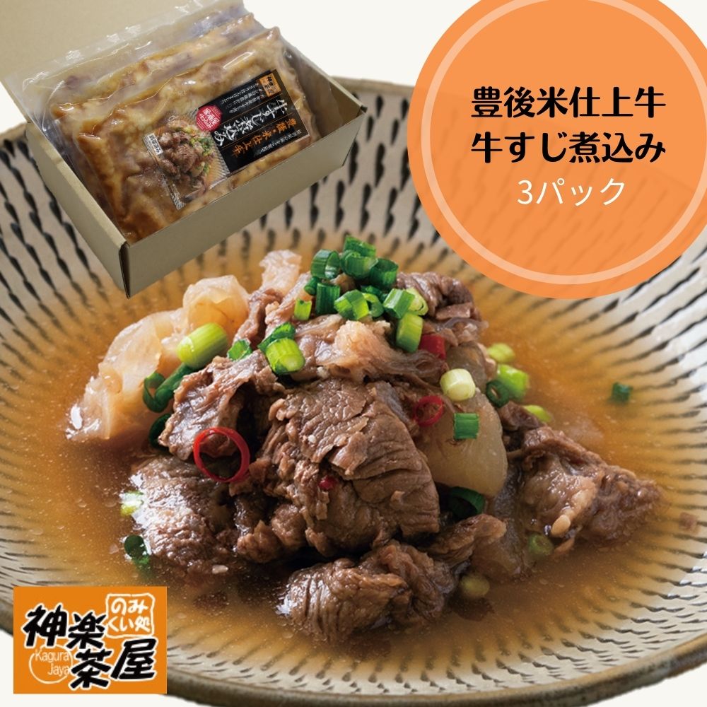 【ふるさと納税】豊後・米仕上げ牛牛すじ煮込み250g×3パック 送料無料【B628-1】