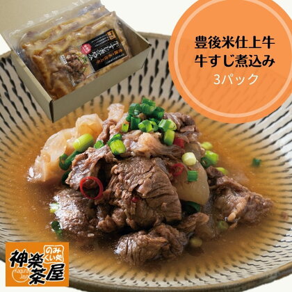 豊後米仕上げ牛 牛すじ煮込み(計750g・250g×3パック)牛肉 お肉 おかず おつまみ 小分け 簡単調理 時短 冷凍 惣菜【111100200】【神楽茶屋】