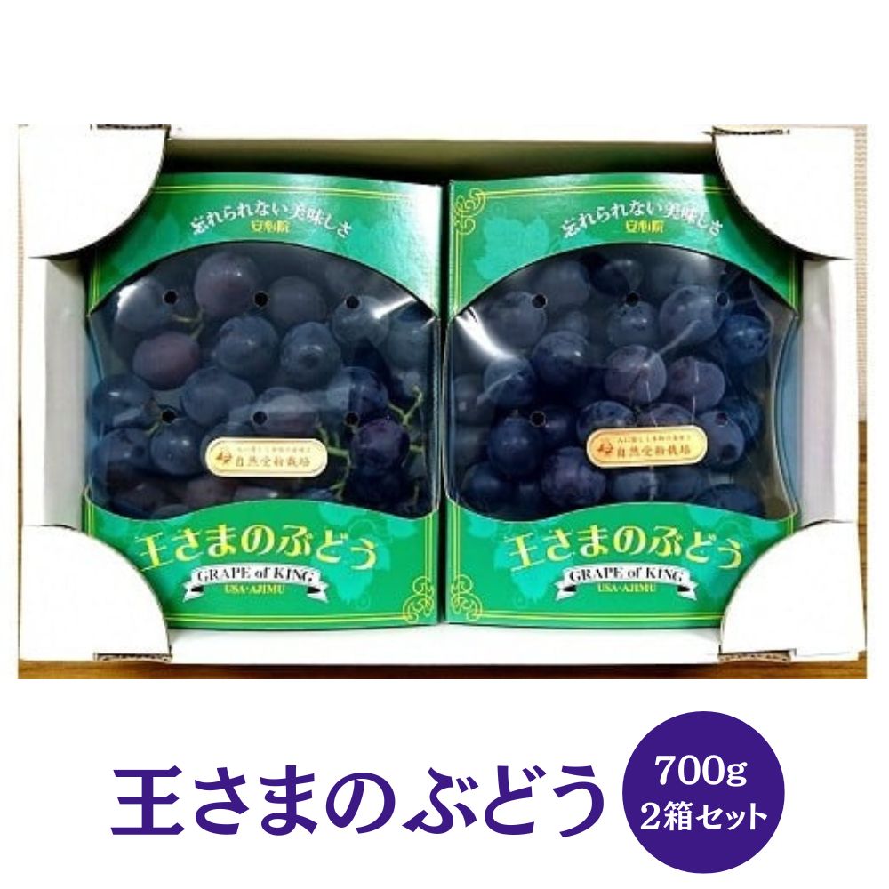 【ふるさと納税】王さまのぶどう 朝もぎ 巨峰(計1.4kg・700g×2パック)国産 ぶどう 葡萄 フルーツ 果物 くだもの 果実 セット【100702400】【宮田ファミリーぶどう園】 1