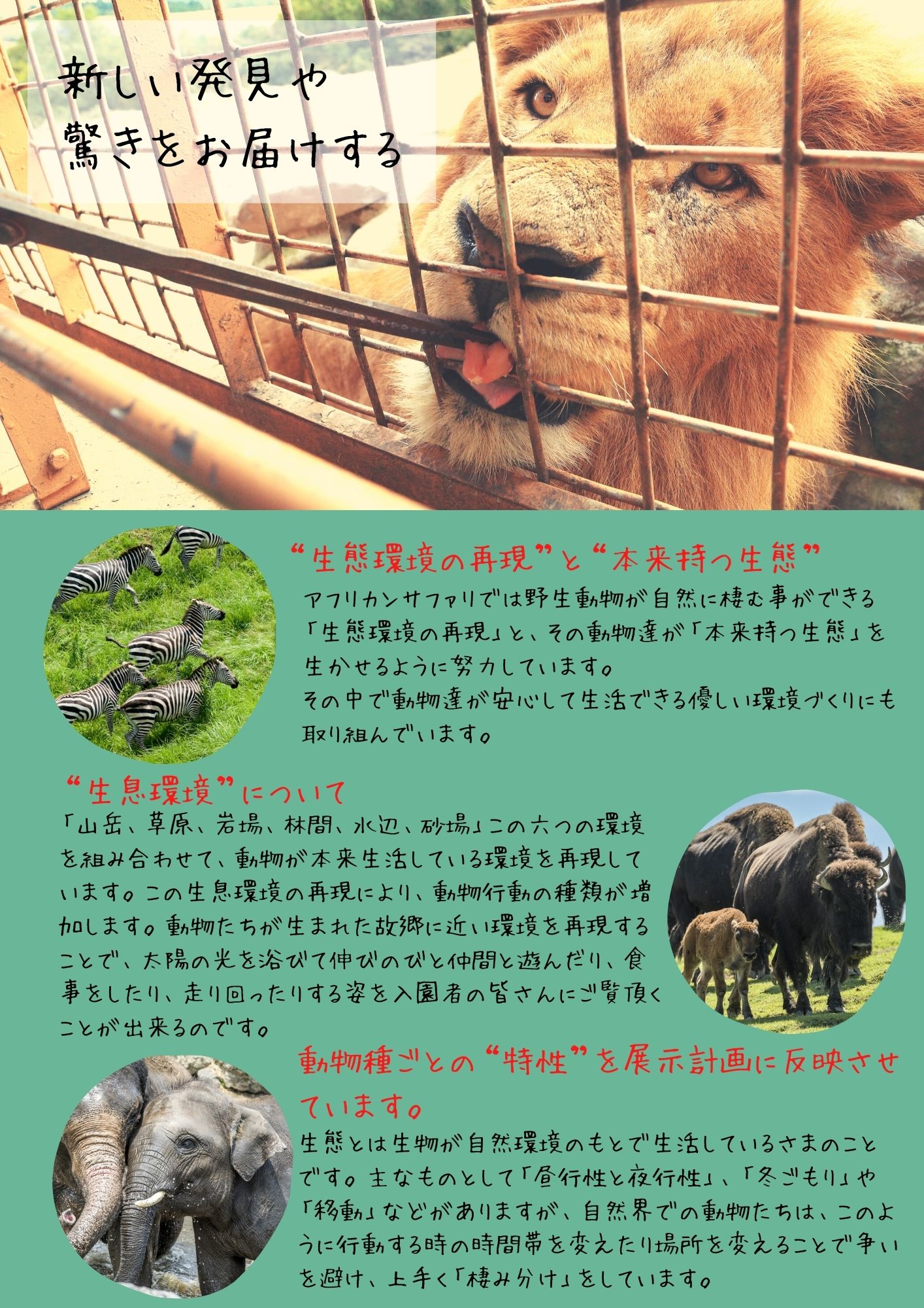 【ふるさと納税】アフリカンサファリ入園券 (大人5枚) 国内最大級 サファリパーク形動物園 チケット 入園券 家族旅行 デート 観光 スポット 夏休み 冬休み 旅行 お出かけ 九州 大分県 宇佐市 送料無料【A-473-4】