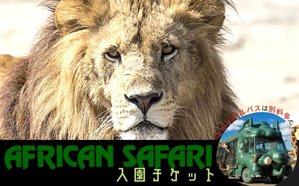 [セット内容が選べる!]アフリカンサファリ入園券とオリジナルクリアファイルのセット(入園券(大人・小人)とクリアファイル)チケット 動物園 サファリパーク形動物園 家族旅行 デート 観光[110600200][九州アフリカ・ライオン・サファリ]