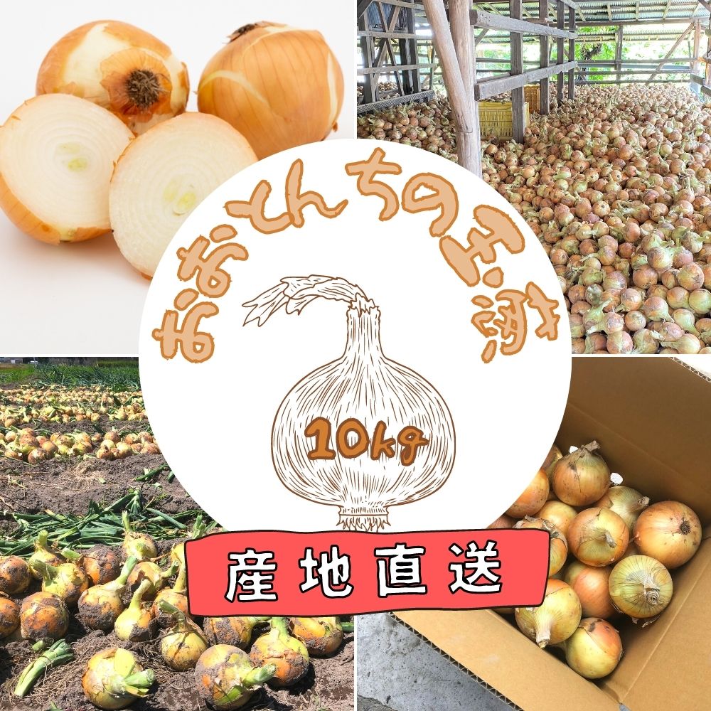 【ふるさと納税】新鮮玉ねぎ おおとんちの玉ねぎ Lサイズ(10kg・25～29個入)野菜 玉葱 たまねぎ【110500200】【大冨農園】