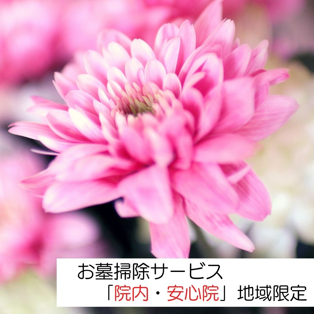 1位! 口コミ数「0件」評価「0」お墓掃除サービス(宇佐市院内、安心院内限定)掃除 清掃 代行 お墓 地域限定【107200100】【NPO法人　スポーツクラブグレートサラマ･･･ 