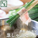 【ふるさと納税】鉄板バル葱屋のねぎしゃぶセット ネギ 葱 しゃぶしゃぶ 送料無料 【B699】