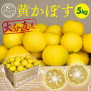 製品仕様 商品名 黄かぼす 内容量 黄かぼす約5kg 賞味期限 出荷日から2週間程度。　 ※生鮮品ですので、お早めにお召し上がりください。 保存方法 常温 提供元 株式会社　未来農林 商品説明 なかなか市場には出回らない、大分県宇佐市で採れたおも 使い方はいろいろ！あなた好みに楽しめる一品です！この時期には鍋物にもご一緒させてください！！ ※11月中旬～12月下旬の間に発送します。 ※返礼品出荷後,お届け先を変更する場合,当初のお届け先から変更後のお届け先までの運賃がかかるようになります。(着払い) 備考 ※画像はイメージです。 検索ワード かんきつ 柑橘 期間限定寄附金の使い道について (1) 自然と文化を守る事業 (2) 次代を担う人材を育成する事業 (3) 定住と地域コミュニティ活動を促進する事業（※） (4) 産業と観光を振興する事業 (5) 新型コロナウイルス感染症対策事業 (6) その他市長が必要と認める事業 （※）本項目をご指定の場合、協議会より礼状等を送付しますので、氏名、住所、寄付金額の情報を協議会へ提供します。何卒ご了承ください。 礼状等の送付を辞退される場合は、お手数ですが下記メールアドレスに寄付者氏名、住所、寄付金額、【協議会からのお礼状送付の辞退】と記入し送信してください。 MAIL:furusato05@city.usa.lg.jp ※ご希望がなければ(6)に活用いたします。 受領申請書及びワンストップ特例申請書について ■受領書入金確認後、注文内容確認画面の【注文者情報】に記載の住所に30日以内に発送いたします。 ■ワンストップ特例申請書入金確認後、注文内容確認画面の【注文者情報】に記載の住所に30日以内に発送いたします。