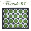 【ふるさと納税】＜先行予約受付中！2024年8月中旬から順次発送予定＞おもとの丘のプレミアムかぼす(20～24個)かんきつ 柑橘 期間限定 【111300500】【未来農林】 1