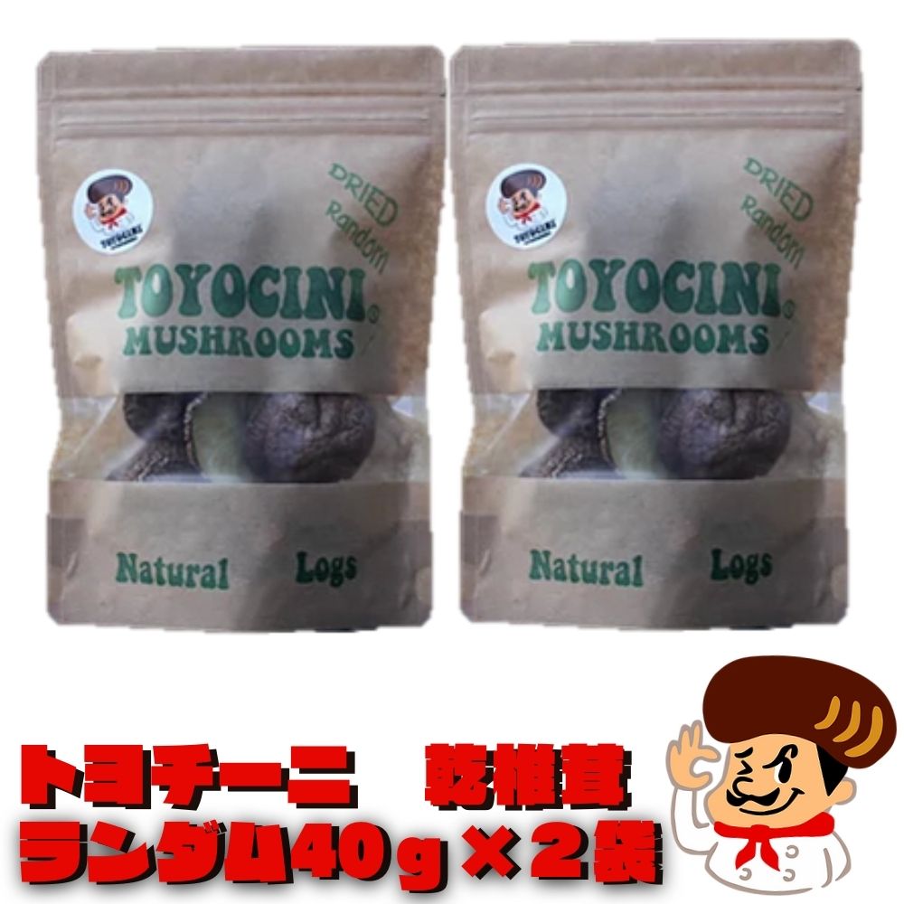 【ふるさと納税】乾椎茸 トヨチーニ・サイズランダム(計80g・40g×2袋)しいたけ 干し椎茸 原木椎茸【110300400】【松重　拓志】