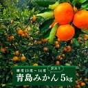 【ふるさと納税】＜訳あり＞みかん青島(約5kg・補償分0.3