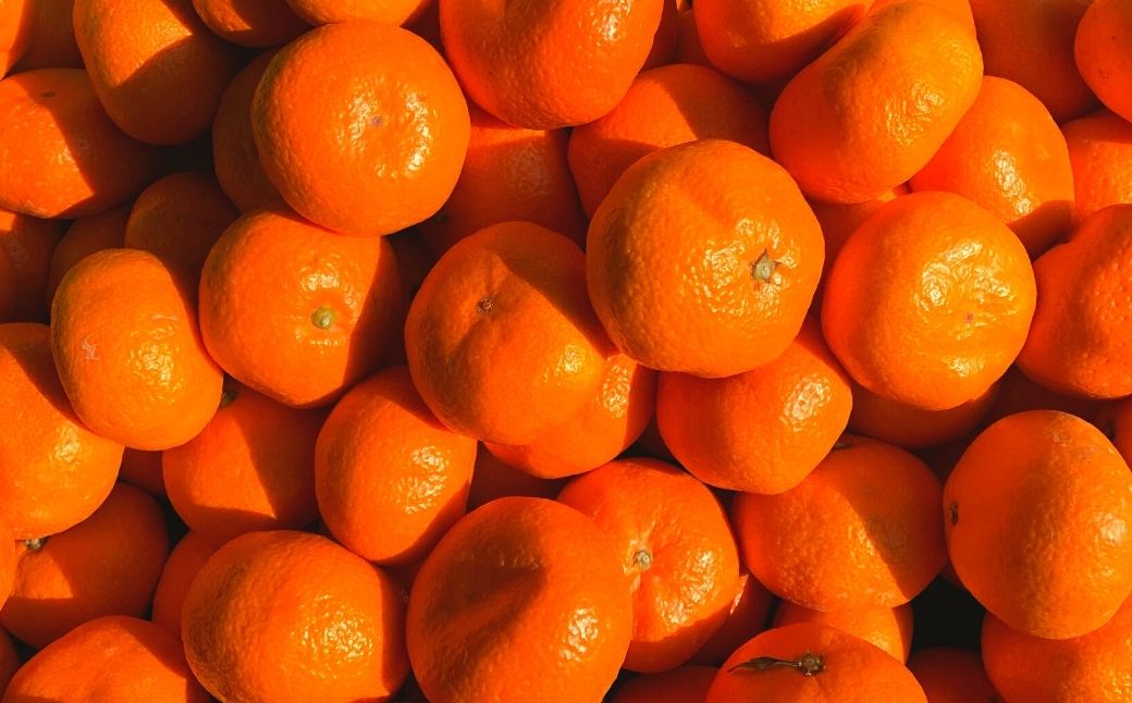 大分県宇佐市の画像3