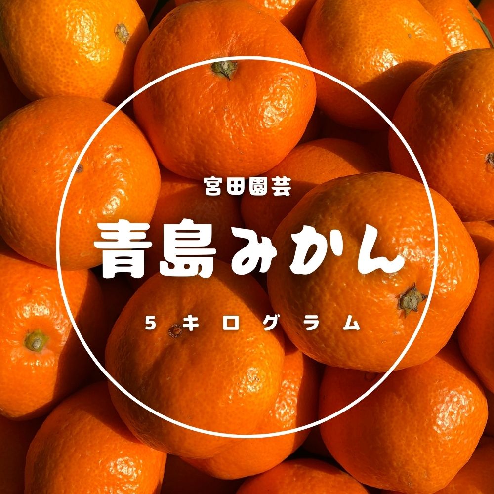 2位! 口コミ数「12件」評価「4.67」青島みかん(5kg)みかん 蜜柑 フルーツ 果物 くだもの 柑橘 期間限定【112300300】【宮田園芸】