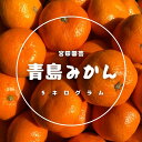 5位! 口コミ数「12件」評価「4.67」＜先行予約受付中！2024年1月上旬～3月下旬の間に順次発送予定＞青島みかん(5kg)みかん 蜜柑 フルーツ 果物 くだもの 柑橘 期間限定･･･ 