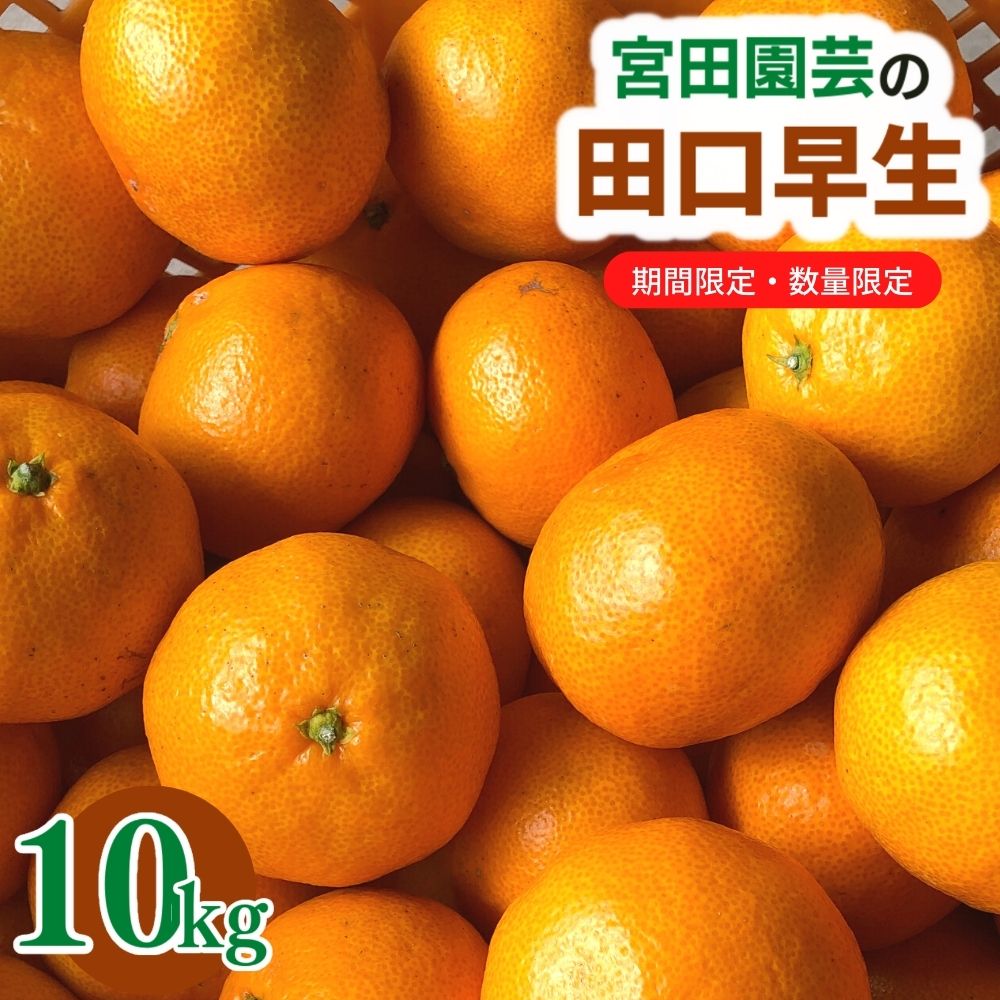 【ふるさと納税】<先行予約受付中!2025年12月上旬から順次発送予定>田口早生(10kg)みかん 蜜柑 フルーツ 果物 くだもの 柑橘 期間限定【112300201】【宮田園芸】