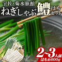 【ふるさと納税】ねぎしゃぶ(鱧はも)セット(5品)ねぎしゃぶ しゃぶしゃぶ 鱧 はも 鍋 お鍋 うどん付き セット【101500201】【菊水旅館】