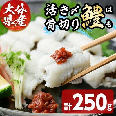 楽天ふるさと納税 【ふるさと納税】大分県産活き〆骨切りハモ(計250g) 真空パック 冷凍 魚介 鱧 はも 活き〆 骨切り 急速冷凍【101900200】【上野水産】