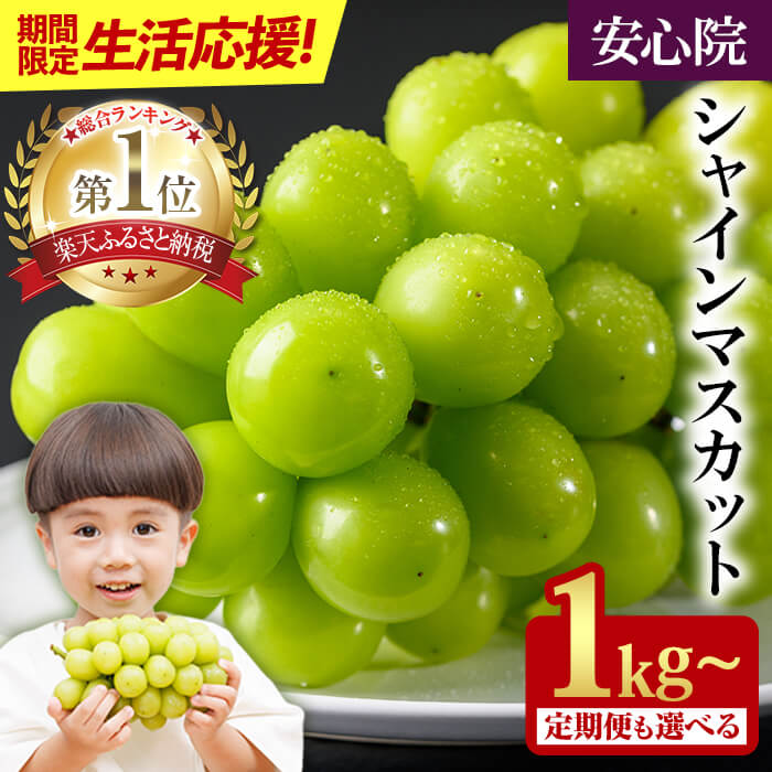 1位! 口コミ数「738件」評価「4.49」【2026年 先行予約 今年最後の寄附額改定】 累計40,000件突破！ 大粒 シャインマスカット 1kg以上(2房) / 2kg以上(3~5房) ＜2026年8月下旬から順次発送予定＞ フルーツ 果･･･ 