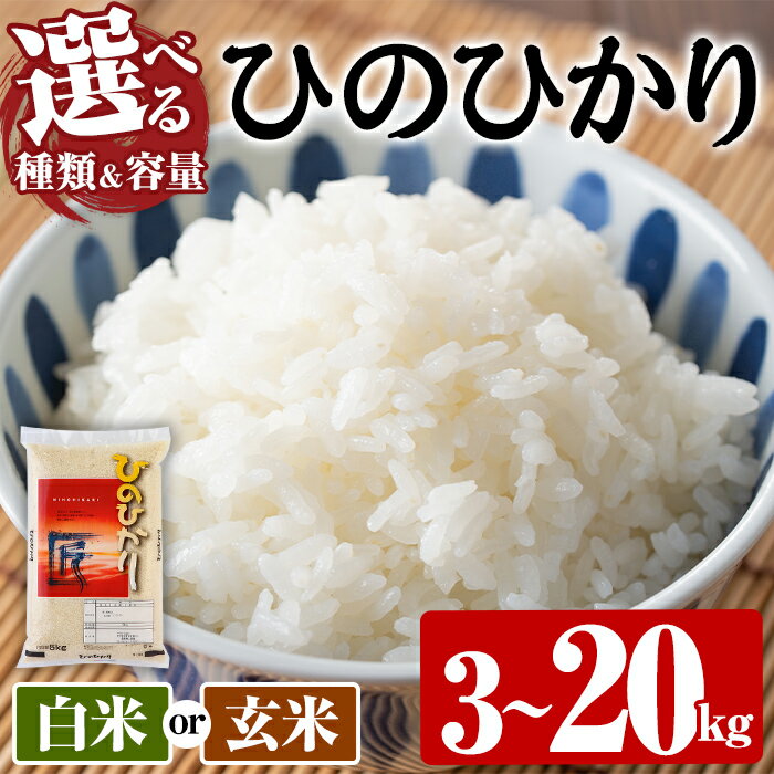 楽天市場】ヒノヒカリ 20kgの通販 楽天市場】ヒノヒカリ 20kgの通販