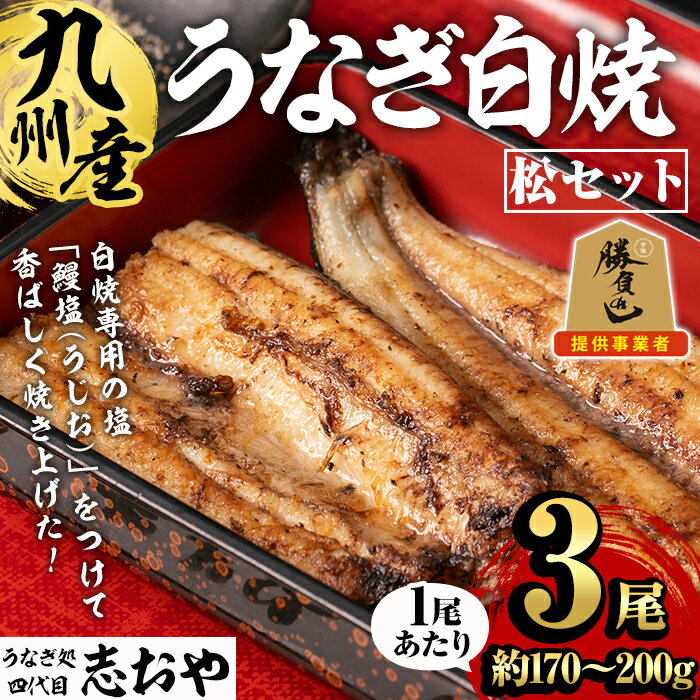【ふるさと納税】うなぎ処 四代目 志おや 九州産うなぎ 白焼(松・3本)うなぎ 鰻 ウナギ 国産 九州産 白焼き 調味料付き 勝負めし 【109400401】【志おや】