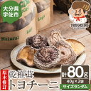 【ふるさと納税】乾椎茸 トヨチーニ・サイズランダム(計80g・40g×2袋)しいたけ 干し椎茸 原木椎茸【110300401】【松重 拓志】