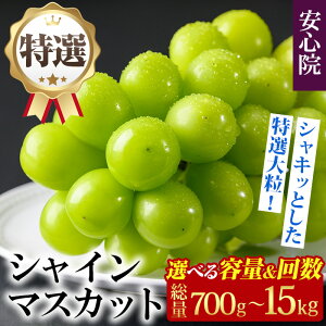 【ふるさと納税】特選 シャインマスカット 【レビューキャンペーン実施中】 (約700g/5kg×1回・3回) <先行予約受付中!2025年8月下旬より順次発送予定><北海道 沖縄 離島配送不可>ぶどう 葡萄 フルーツ 定期便 【106300201】【大分県農業協同組合 北部エリア】