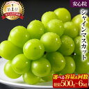 1位! 口コミ数「503件」評価「4.41」シャインマスカット 総合1位 レビューキャンペーン 定期便 通常便 500g以上(1房) 1kg以上(2房) 2kg以上(3~5房) 予約<8月下旬より順次発送>大粒【106300800・106300・・・