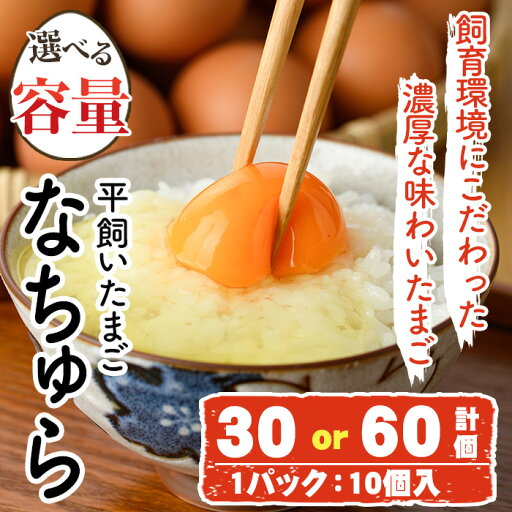 【ふるさと納税】<容量が選べる!>平飼い卵 なちゅら(計30個 or 60個) 卵 玉子 鶏卵 卵かけご飯 玉子焼き 【108800400・108800500】【カジワラファーム】 【ふるさと納税】<容量が選べる!>平飼い卵 なちゅら(計30個 or 60個) 卵 玉子 鶏卵 卵かけご飯 玉子焼き 【108800400・108800500】【カジワラファーム】