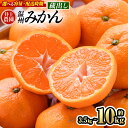 蔵出しみかん (約3.5kg・5kg・10kg) みかん ミカン 蜜柑 柑橘 フルーツ 果物 くだもの 果実 国産 熟成 大分県宇佐市産 <1月上旬以降順次発送><数量限定><容量・配送時期が選べる>
