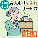 【ふるさと納税】みまもりでんわサービス(6か月・固定電話)電話 サービス 郵便局 見守り 固定電話 日本郵便 家族【107500300】【日本郵便】