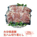 【ふるさと納税】大分県産豚生ハム切り落としセット(計1.2k