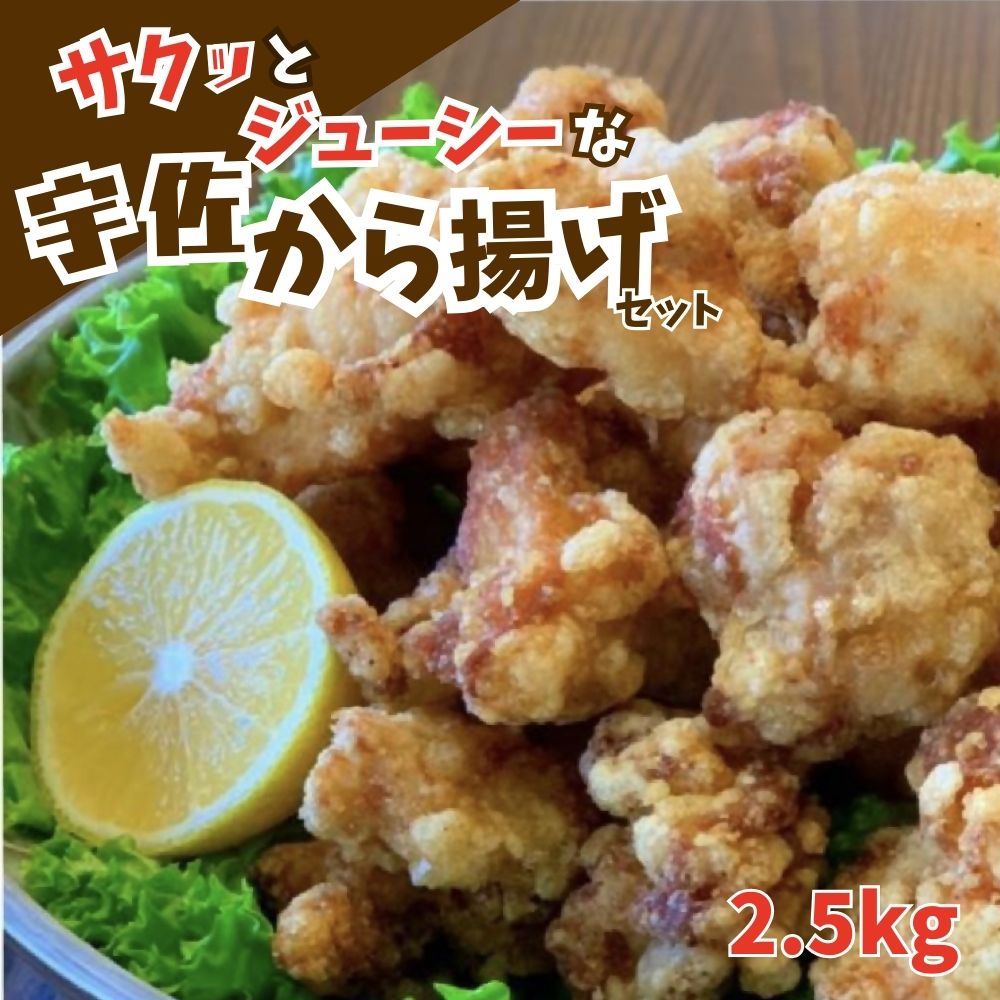 サクッとジューシー宇佐から揚げセット(計2.5kg・500g×5P)唐揚げ から揚げ 簡単 冷凍 惣菜 お弁当 おかず おつまみ 揚げるだけ セット[102000700][サンセイ 安心院ソーセージ]