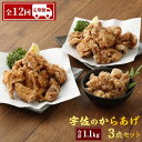 【ふるさと納税】【12回定期便】宇佐のからあげ 3点セット 計1.1kg からあげグランプリ最高金賞 とりあん 唐揚げ おかず おつまみ 1.1kg×12回 送料無料【T44】