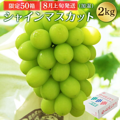 シャインマスカット 2kg 3房〜5房 加温栽培 50箱限定 安心院 宇佐市産 予約 8月上旬発送 ぶどう ブドウ 葡萄 マスカット お取り寄せ フルーツ 果物 送料無料