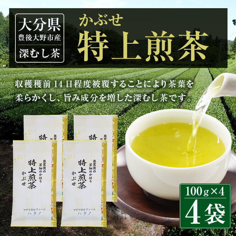 【ふるさと納税】特上煎茶 かぶせ 100g×4袋 400g 大分県産 お茶 日本茶 茶葉 セット エコファーマー認定農家 減農薬 減化学肥料栽培