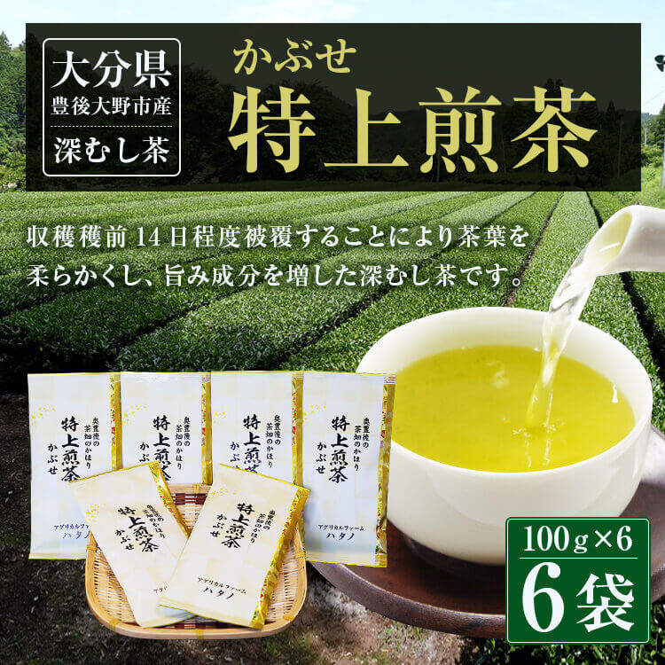 【ふるさと納税】特上煎茶 かぶせ 100g×6袋 600g 大分県産 お茶 日本茶 茶葉 セット エコファーマー認定農家 減農薬 減化学肥料栽培