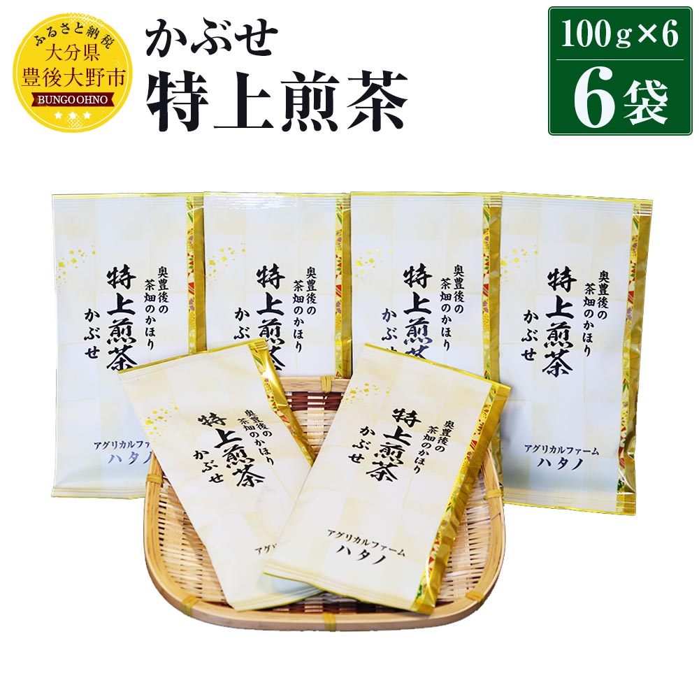 【ふるさと納税】特上煎茶 かぶせ 100g×6袋 600g 大分県産 お茶 日本茶 茶葉 セット エコファーマー認...