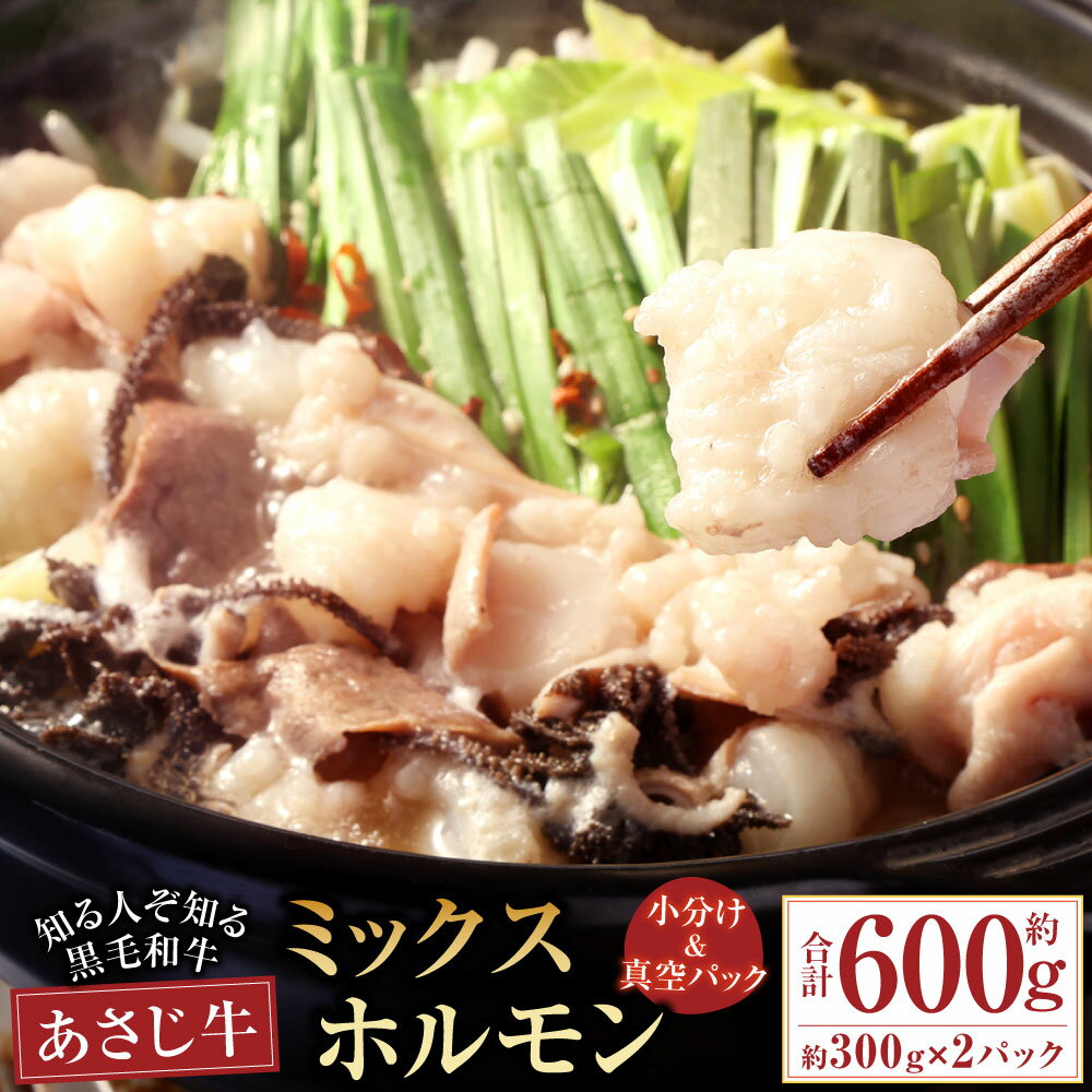 【ふるさと納税】知る人ぞ知る黒毛和牛「あさじ牛」ミックスホルモン 合計約600g 約300g×2袋 真空小分け冷凍で使いやすい 朝地 牛 黒毛和牛 ミックスホルモン 大腸 小腸 センマイ ハツ 赤センマイ もつ 鍋 アウトドア キャンプ 小分け 真空パック 冷凍 豊後大野市 送料無料