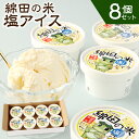 楽天大分県豊後大野市【ふるさと納税】綿田の米 塩アイス 8個 合計720ml 90ml×8個 セット お米 塩 しお アイス アイスクリーム お菓子 スイーツ 冷凍 国産 九州 大分県 送料無料