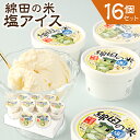 楽天大分県豊後大野市【ふるさと納税】綿田の米 塩アイス 16個 合計約1.4L 90ml×16個 セット お米 塩 しお アイス アイスクリーム お菓子 スイーツ 冷凍 国産 九州 大分県 送料無料